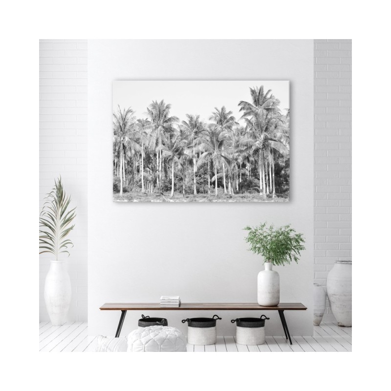 Leinwandbild - Palmen im Dschungel Grau | Feeby