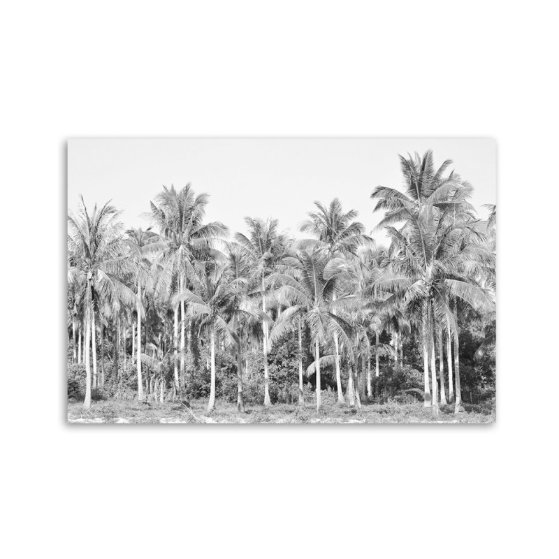 Leinwandbild - Palmen im Dschungel Grau | Feeby