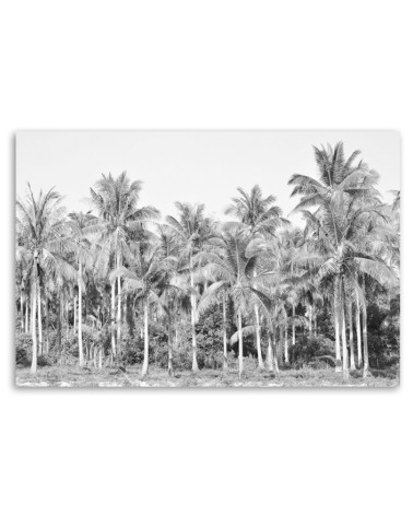 Leinwandbild - Palmen im Dschungel Grau | Feeby