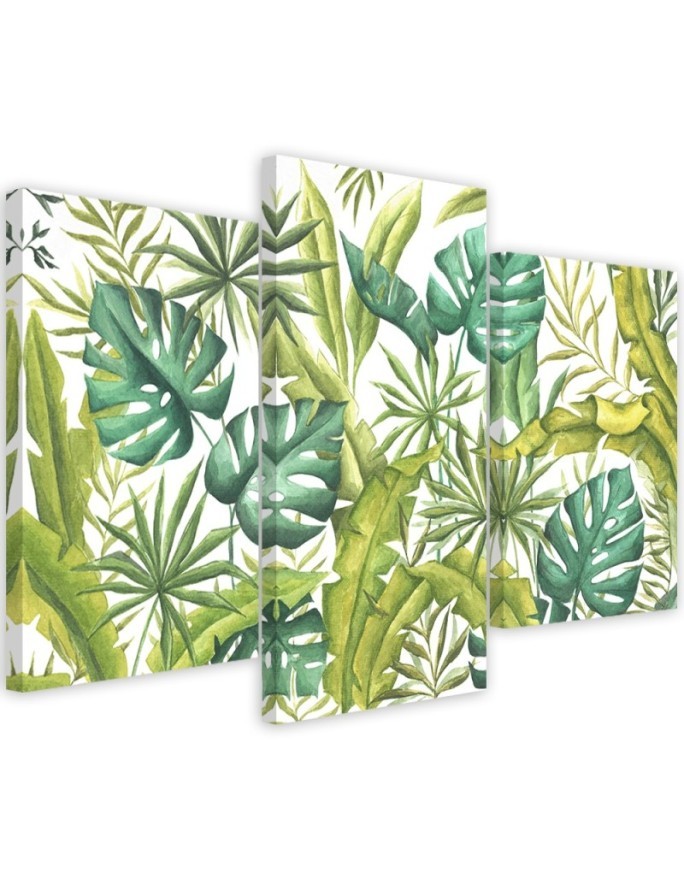 Obraz drukowany na płótnie canvas - Liście Monstera | FEEBY