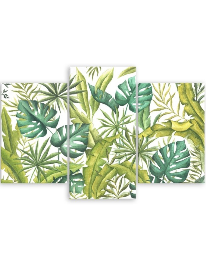 Obraz drukowany na płótnie canvas - Liście Monstera | FEEBY