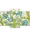Obraz drukowany na płótnie canvas - Liście Monstera | FEEBY