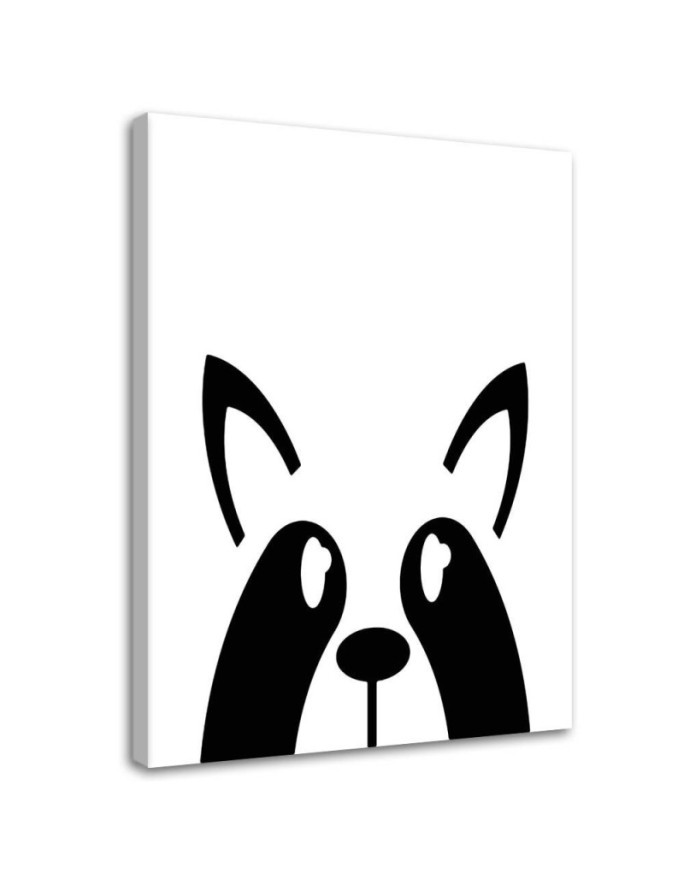 Modernes Wandbild - Waschbär | Feeby