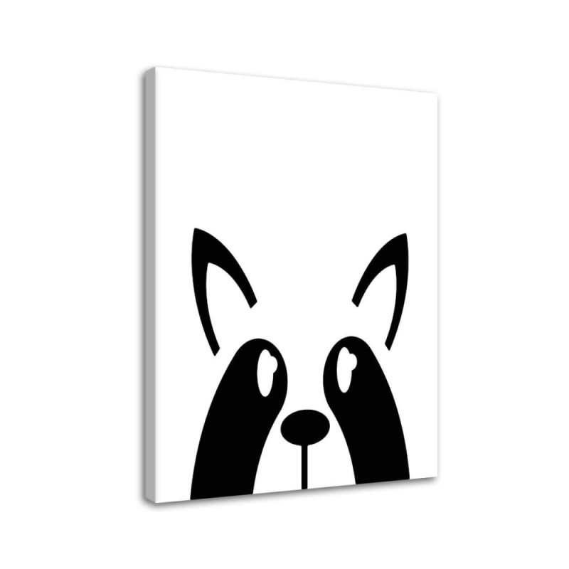 Modernes Wandbild - Waschbär | Feeby