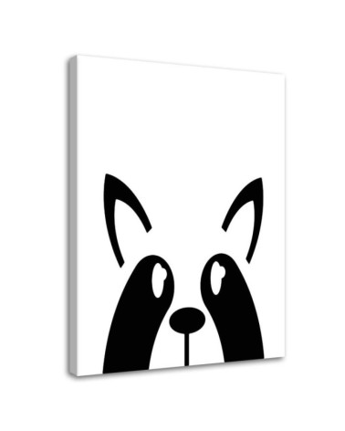 Modernes Wandbild - Waschbär | Feeby