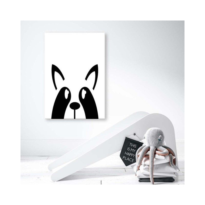 Modernes Wandbild - Waschbär | Feeby