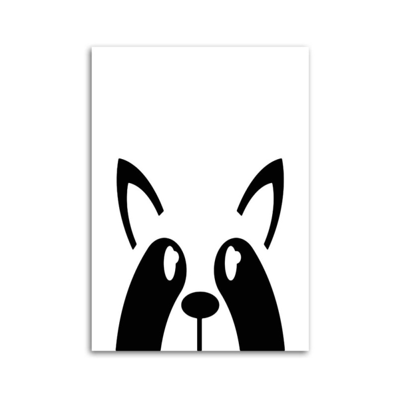 Modernes Wandbild - Waschbär | Feeby
