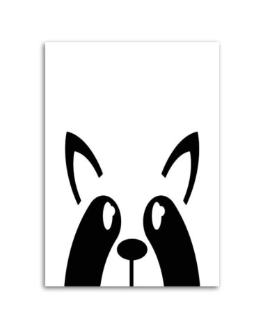 Modernes Wandbild - Waschbär | Feeby