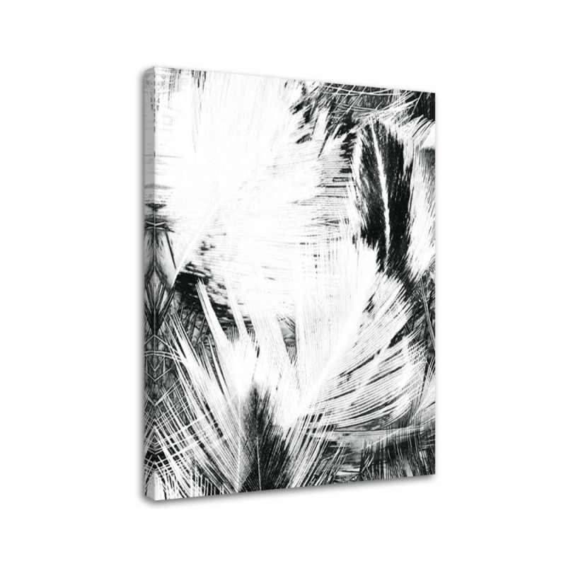 Bild auf Leinwand - Schwarz-weiße Abstraktion | Feeby
