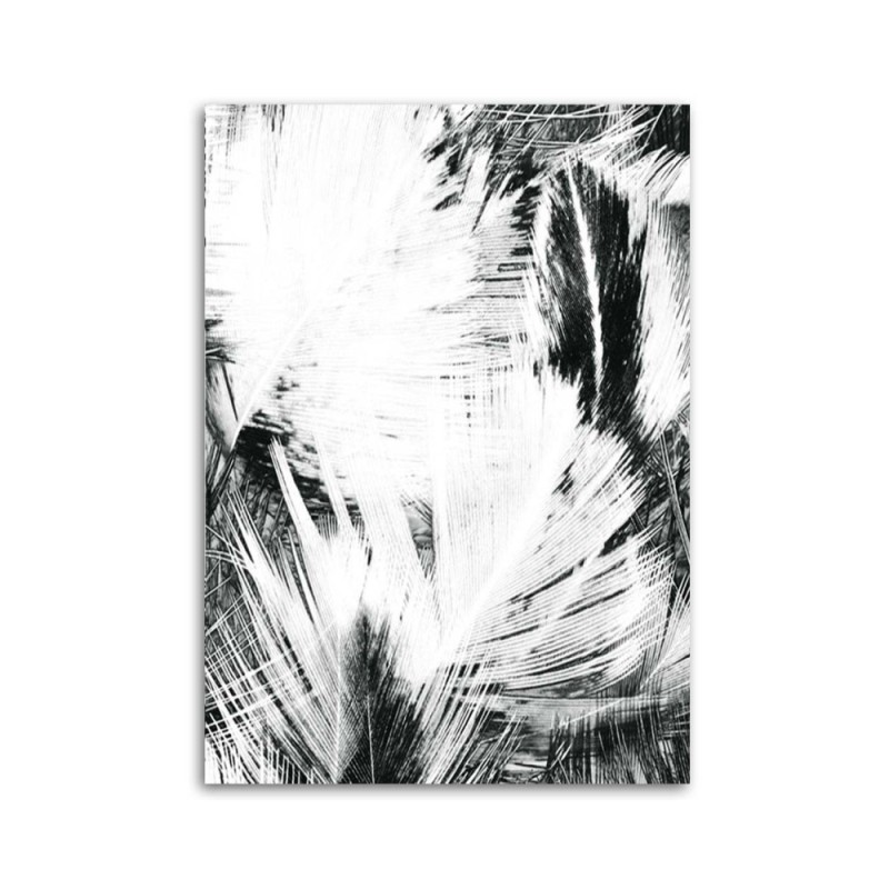Bild auf Leinwand - Schwarz-weiße Abstraktion | Feeby