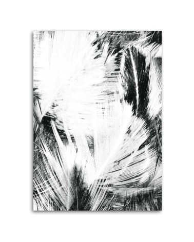 Bild auf Leinwand - Schwarz-weiße Abstraktion | Feeby