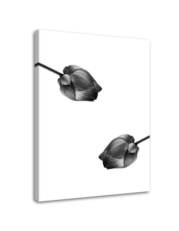 Wrapped Canvas prints wall art - Two grey flowers | FEEBY