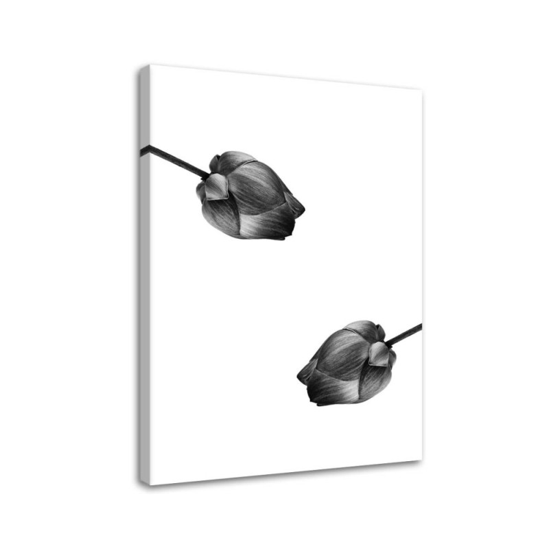 Leinwandbild - Zwei graue Blumen | Feeby