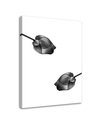 Wrapped Canvas prints wall art - Two grey flowers | FEEBY