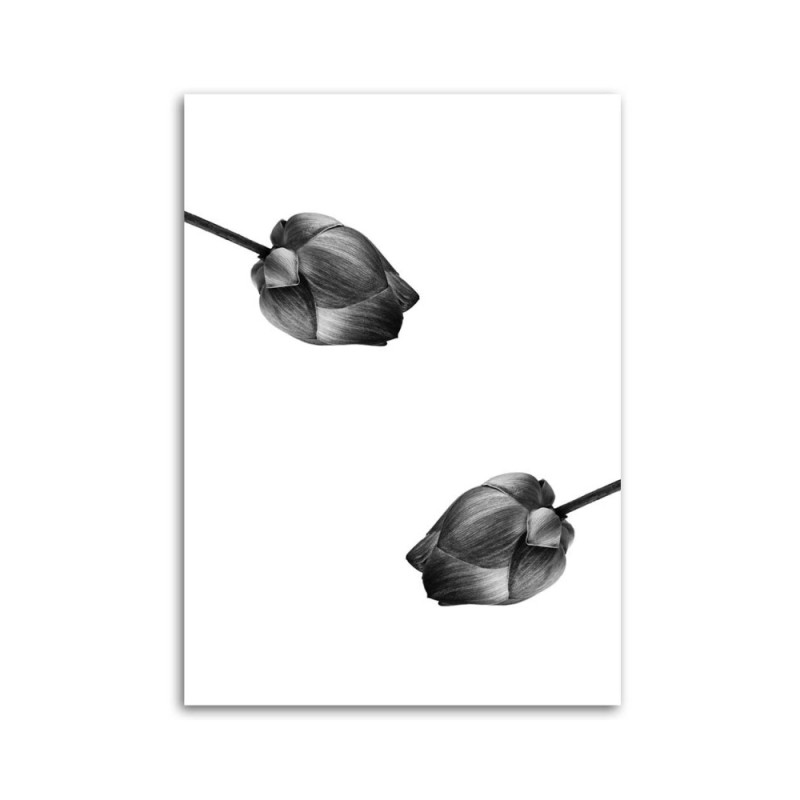 Leinwandbild - Zwei graue Blumen | Feeby