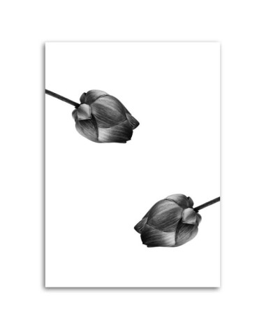 Leinwandbild - Zwei graue Blumen | Feeby