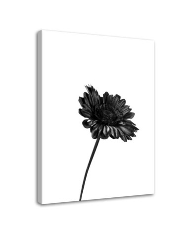 Modern canvas print Canvas prints for bedroom - Black flower | FEEBY