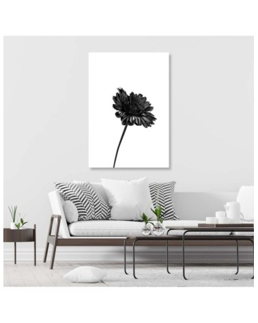 Wandbild für Wohnzimmer - Einzelne Blume | Feeby