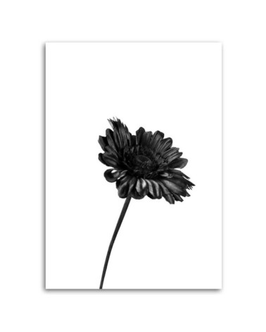 Wandbild für Wohnzimmer - Einzelne Blume | Feeby