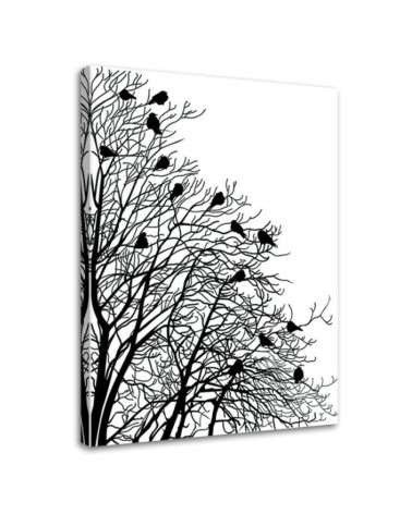 Leinwanddruck - Vögel auf Ästen | Feeby