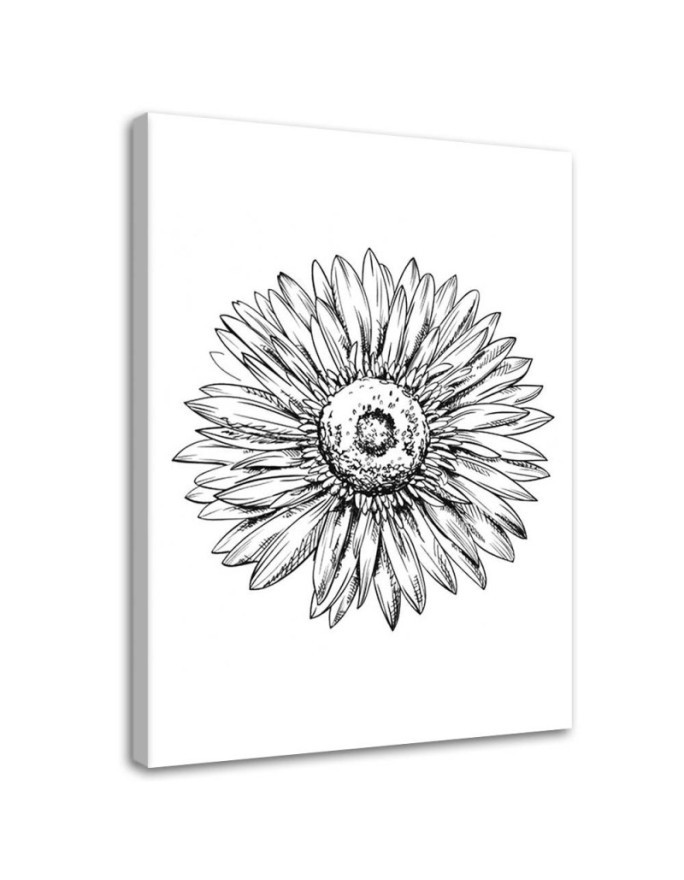 Modernes Wandbild - Blumen-Skizze | Feeby