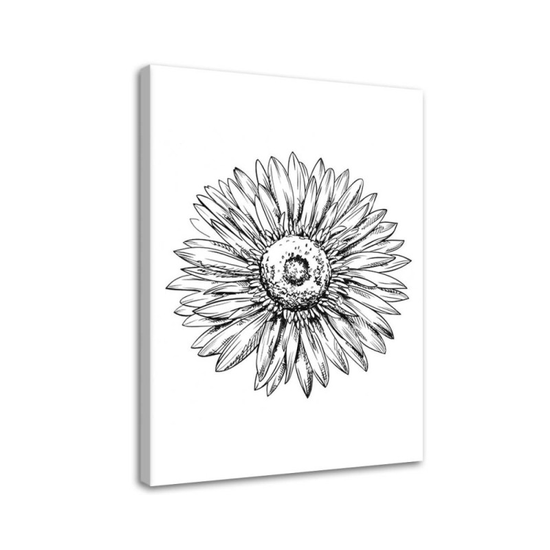 Modernes Wandbild - Blumen-Skizze | Feeby