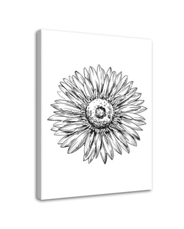 Modernes Wandbild - Blumen-Skizze | Feeby