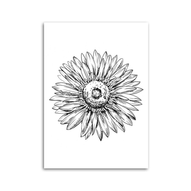 Modernes Wandbild - Blumen-Skizze | Feeby