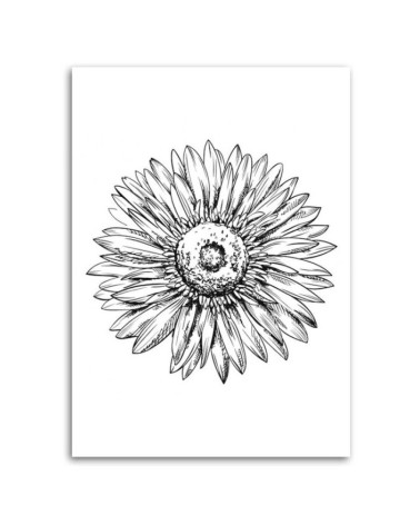 Modernes Wandbild - Blumen-Skizze | Feeby