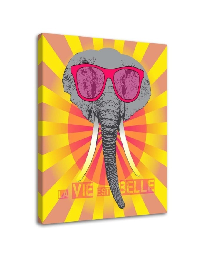 Leinwanddruck - Elefant mit Brille | Feeby