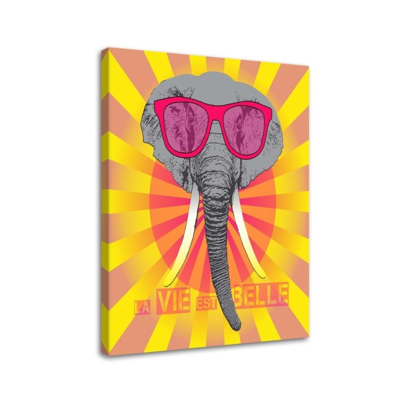 Leinwanddruck - Elefant mit Brille | Feeby