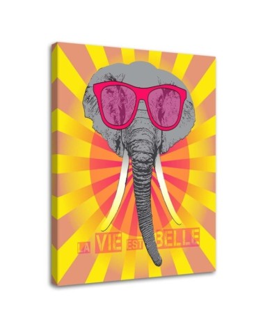 Leinwanddruck - Elefant mit Brille | Feeby
