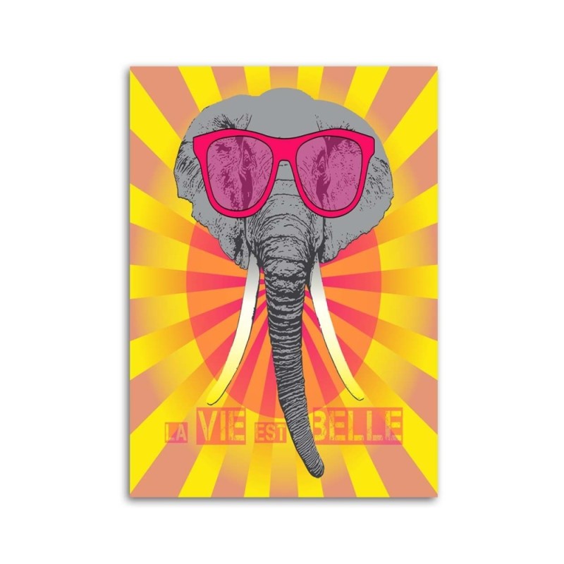 Leinwanddruck - Elefant mit Brille | Feeby