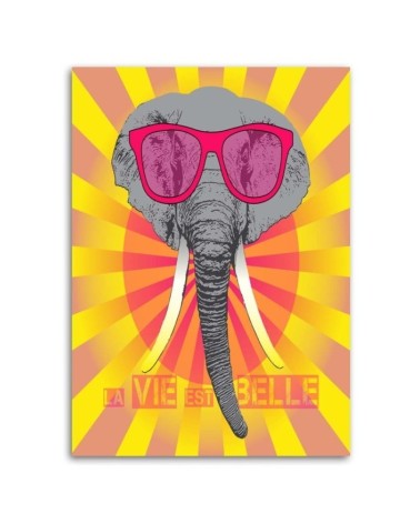 Leinwanddruck - Elefant mit Brille | Feeby