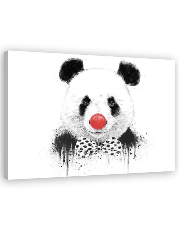 Obraz na ścianę - Panda z nosem klauna Balazs Solti | FEEBY