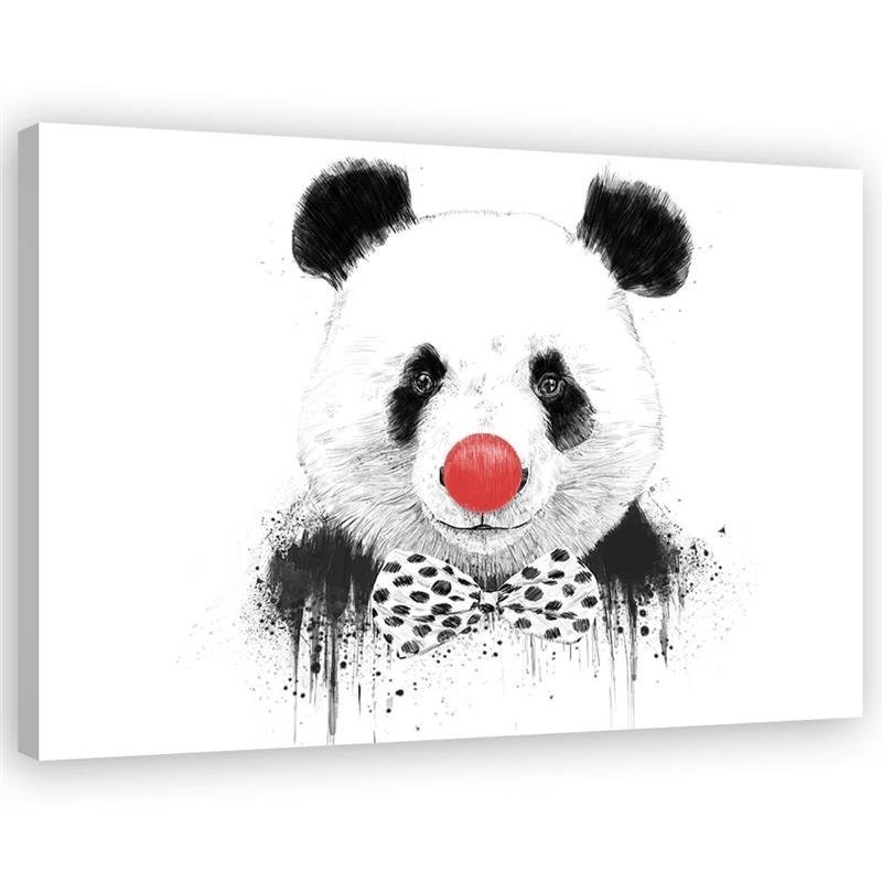 Obraz na ścianę - Panda z nosem klauna Balazs Solti | FEEBY