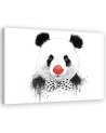 Obraz na ścianę - Panda z nosem klauna Balazs Solti | FEEBY