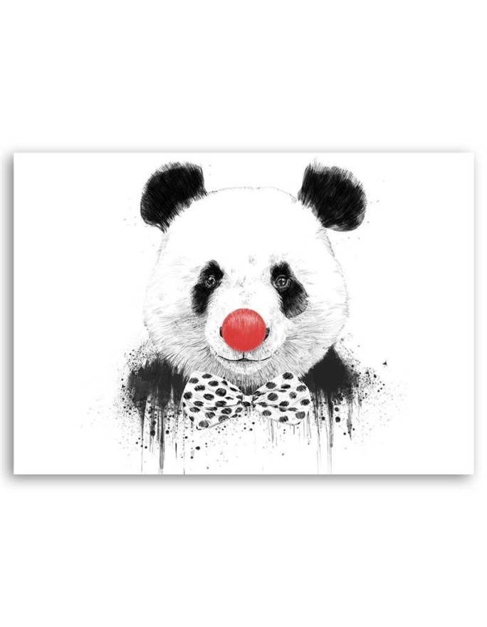 Obraz na ścianę - Panda z nosem klauna Balazs Solti | FEEBY