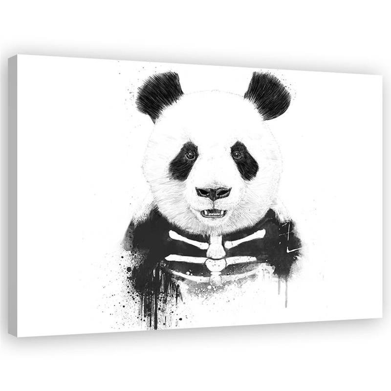 Obraz dla nastolatka - Miś panda szkielet Balazs Solti | FEEBY