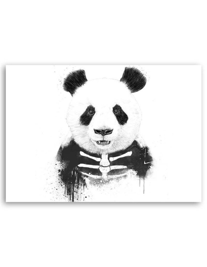 Obraz dla nastolatka - Miś panda szkielet Balazs Solti | FEEBY