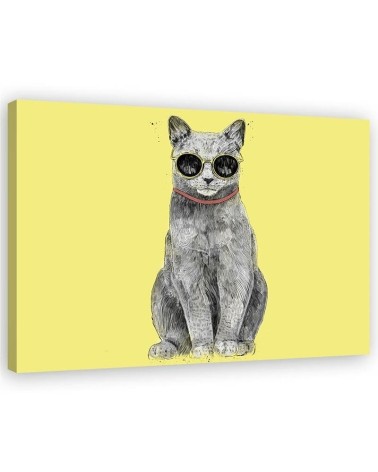 Canvas prints for teenager - Cat with glasses Balazs Solti | FEEBY