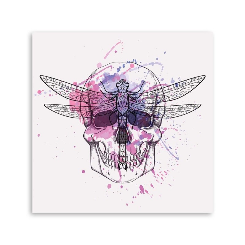 Bild auf Leinwand - Totenkopf und Libelle | Feeby