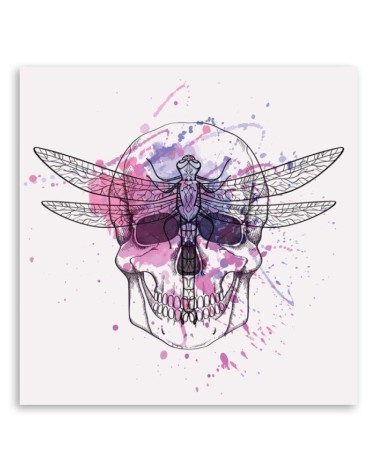Bild auf Leinwand - Totenkopf und Libelle | Feeby