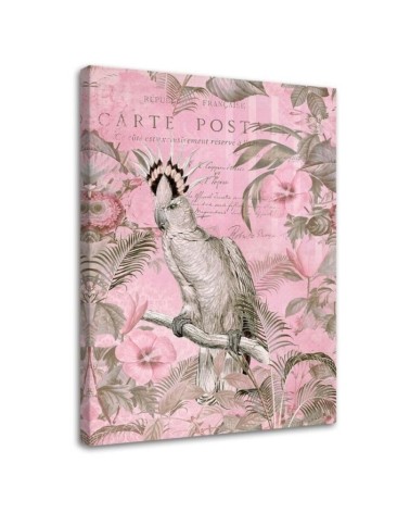 Canvas painting - Pink cockatoo bird Andrea Haase | FEEBY