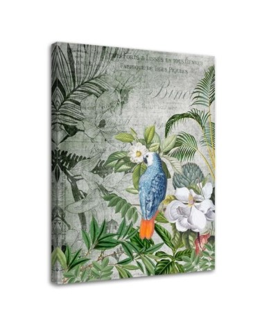 Canvas prints for modern living room - Kingdom of birds Andrea Haase | FEEBY