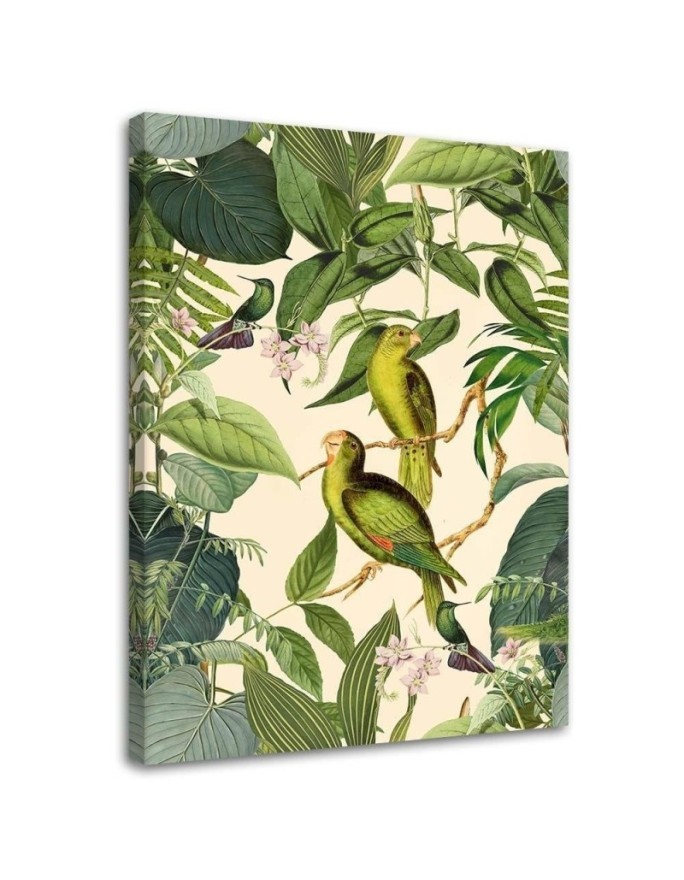 Canvas prints for bedroom printTropical birds in the jungle Andrea Haase | FEEBY