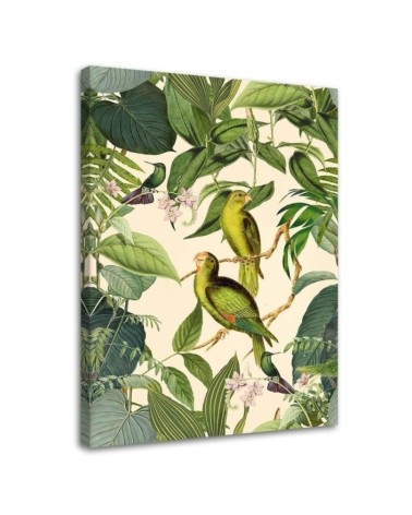 Canvas prints for bedroom printTropical birds in the jungle Andrea Haase | FEEBY