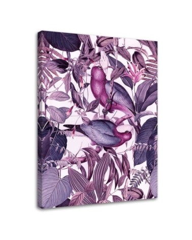 Fashionable Canvas paintings for the living room - Tropical birds 4 Andrea Haase | FEEBY