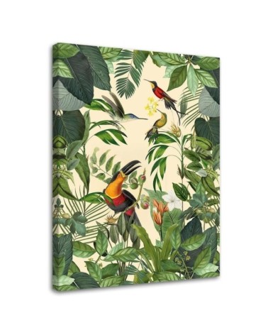 Canvas prints for modern living room - Tropical toucan Andrea Haase | FEEBY