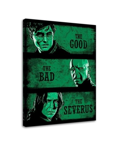 Canvas prints for teenager's room - Harry Potter collage DDJVigo | FEEBY